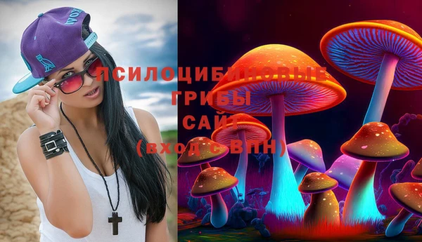 mix Богородицк